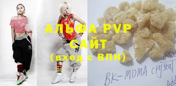 хмурый Новозыбков