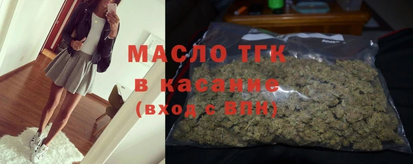 хмурый Новозыбков