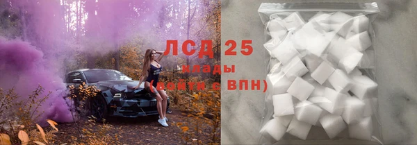 хмурый Новозыбков