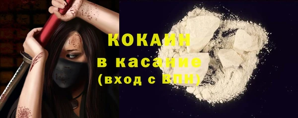 хмурый Новозыбков