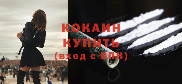 хмурый Новозыбков