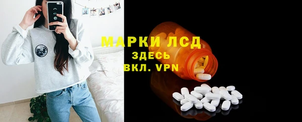 хмурый Новозыбков