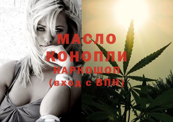 амф Новодвинск