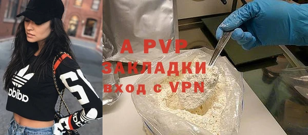 хмурый Новозыбков
