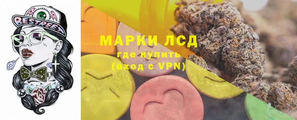 хмурый Новозыбков