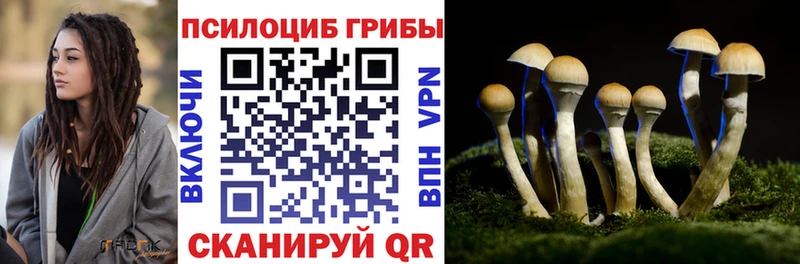 сайты даркнета формула  Разумное  Псилоцибиновые грибы Psilocybine cubensis 